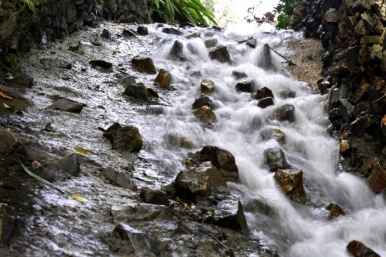 Projetos de lei preveem medidas de preservação dos recursos hídricos. Foto: Portal PBH