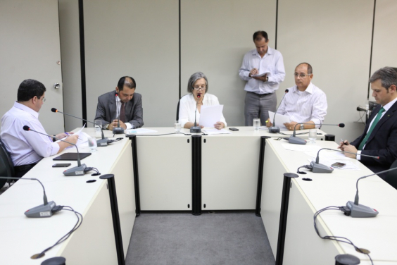 Comissão de Meio Ambiente e Política Urbana - Foto: Mila Milowiski