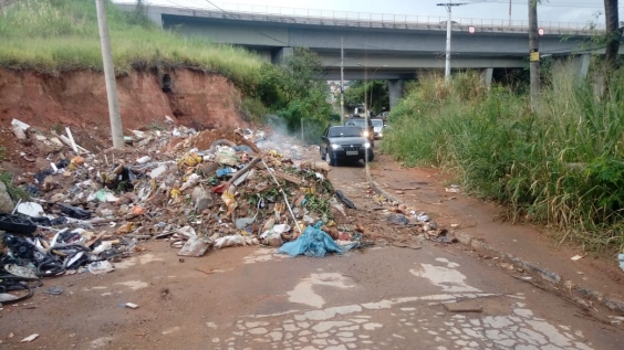 acúmulo de lixo ocupa trecho da via, sob viaduto. Carros desviam.