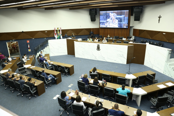 Vista superior do Plenário Amynthas de Barros. Participantes ocupam seus lugares