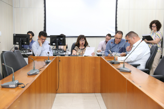 Integrantes da comissão estão sentados em torno da Mesa apreciando a pauta; atrás deles, no canto direito da imagem