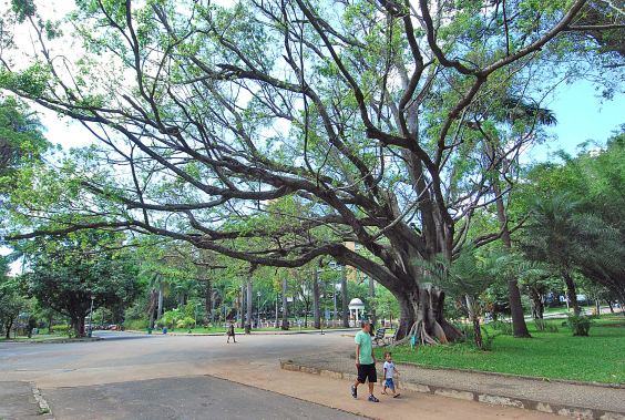 Vista do parque municipal