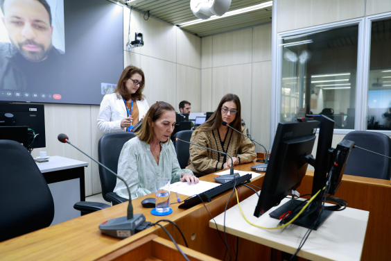 Comissão Especial aprova plano de trabalho