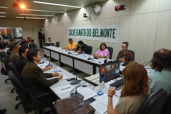 parlamentares e participantes presentes em audiência pública na câmara municipal de bh