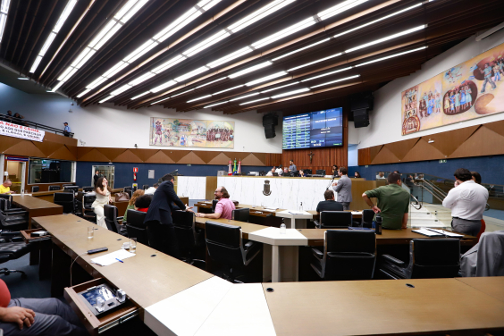 Vereadores em pé e sentados durante plenário na cmbh