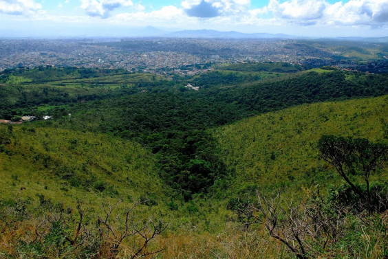Vista aérea da região da Mata da Baleia 