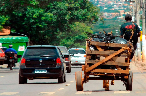 carroça trafega em via pública