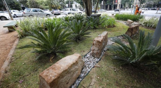 jardim de chuva
