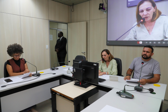 parlamentares presentes em reunião de comissão