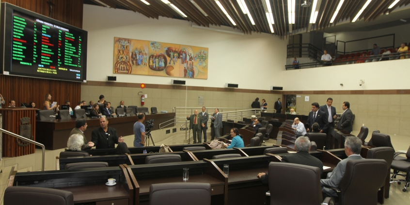 29ª Reunião Ordinária do Plenário