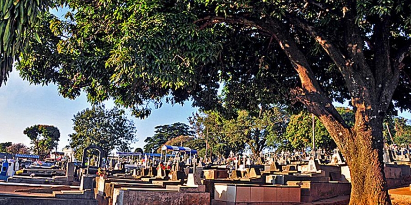 Cemitério da Saudade será visitado pela Comissão de Direitos Humanos e Defesa do Consumidor no dia 14/4 (Foto: Divulgação CMBH)
