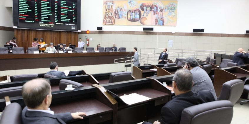 Reunião plenária desta sexta (23) também abordou a proteção a crianças e adolescentes