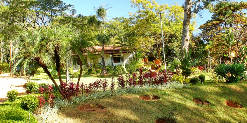 Câmara propõe criação de parques ecológicos na capital