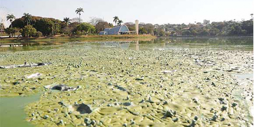 Destinação de resíduos da Lagoa da Pampulha motivou audiências públicas (foto: site do vereador Sérgio Fernando Pinho Tavares)