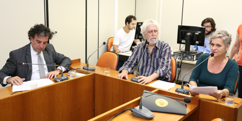 Comissão de Educação e Cultura. Reunião Extraordinária. Plenário Camil Caram