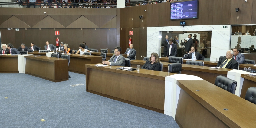 Reunião plenária