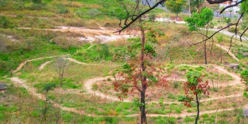 Pista de mountain bike no Parque Ecológico Padre Alfredo Sabetta, conhecido como Parque Teixeira Dias
