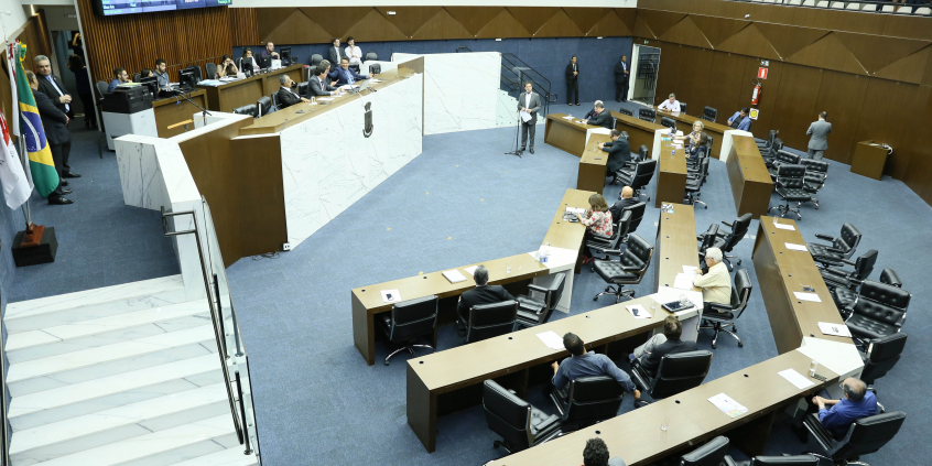 33ª reunião ordinária do Plenário, em 6 de maio de 2019