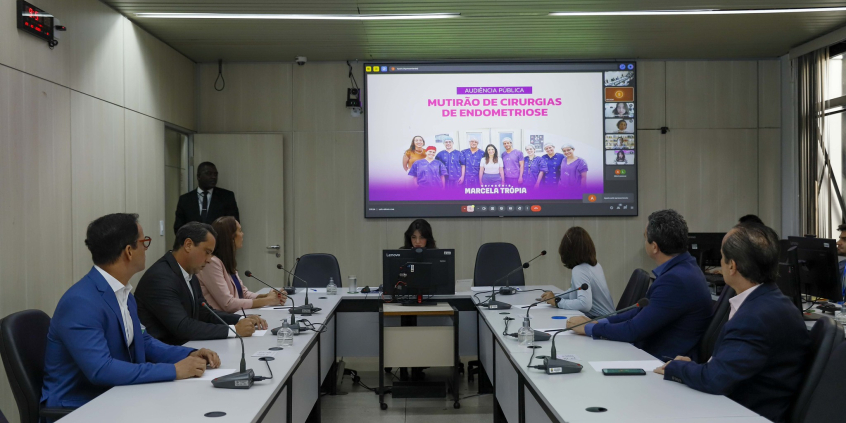 parlamentares e participantes presentes em audiência pública na câmara municipal de bh