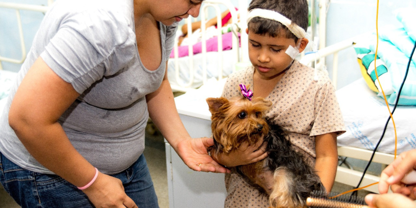 Cachorro em visita a hospital no Tocantins, interagindo com criança hospitalizada, a mãe ao lado