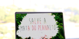 Valor ecológico da Mata do Planalto é regulamentada, nesta quarta (24/11), por legislação municipal 
