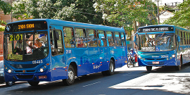 Dois ônibus em movimento em avenida arborizada, durante o dia.