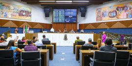 Imagem frontal do Plenário com os dois painéis de Yara Tupinambá. 