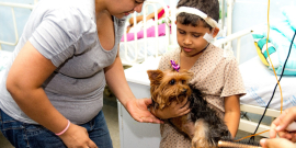 Cachorro em visita a hospital no Tocantins, interagindo com criança hospitalizada, a mãe ao lado