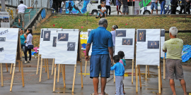 Adultos e crianças observam obras de arte em espaço público