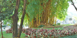 parque urbano