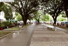 Vereadores defenderam interesses de feirantes e consumidores para manutenção da Feira Tom Jobim na Av. Carandaí