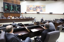 Reunião plenária desta sexta (23) também abordou a proteção a crianças e adolescentes