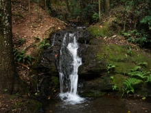 Nascente no Parque das Mangabeiras