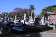 Vista geral do Cemitério do Bonfim. Sepulturas em mármore preto e esculturas sacras brancas