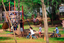 Seis crianças brincam em brinquedos ao ar livre, cercadas de verde e acompanhadas por um adulto.