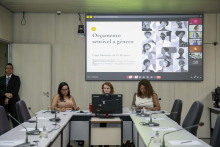 parlamentares e participantes presentes em audiência pública na câmara municipal de bh