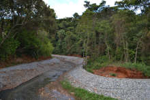 curso d'água passando entre mata